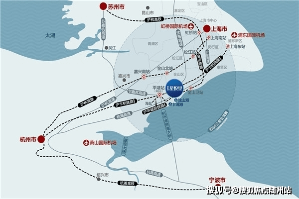 最新青川獵犬出售價(jià)及其市場(chǎng)分析