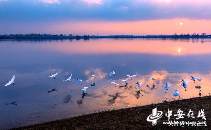 管灣濕地公園最新動態(tài)，生態(tài)建設的蓬勃發(fā)展