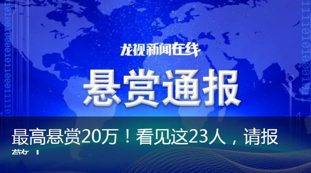 關(guān)于澳門免費精準大全的探討與警示——警惕違法犯罪問題