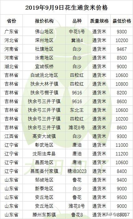 今日花生價格最新行情分析