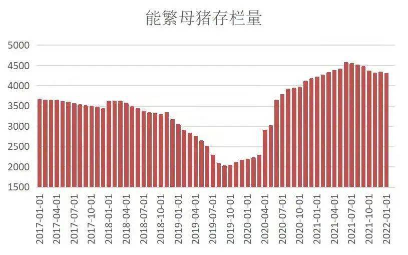 最新能繁母豬存欄數(shù)據(jù)，揭示行業(yè)趨勢與挑戰(zhàn)