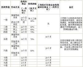 傷殘等級(jí)鑒定標(biāo)準(zhǔn)最新概述