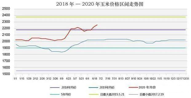 玉米棒價格最新行情分析